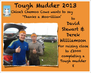 Tough Mudder Tough Mudder
